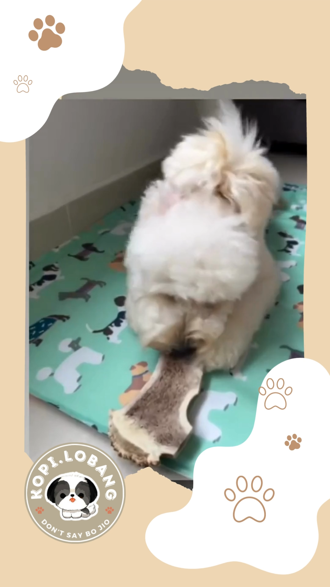 ✅[SG] Reversible Pet Cooling Mat / Pad ★ FREE "Place" Training e-Guide ★ Unique Design ★ SG Stock ★ For Dog Cat ★ Perfect for Gift