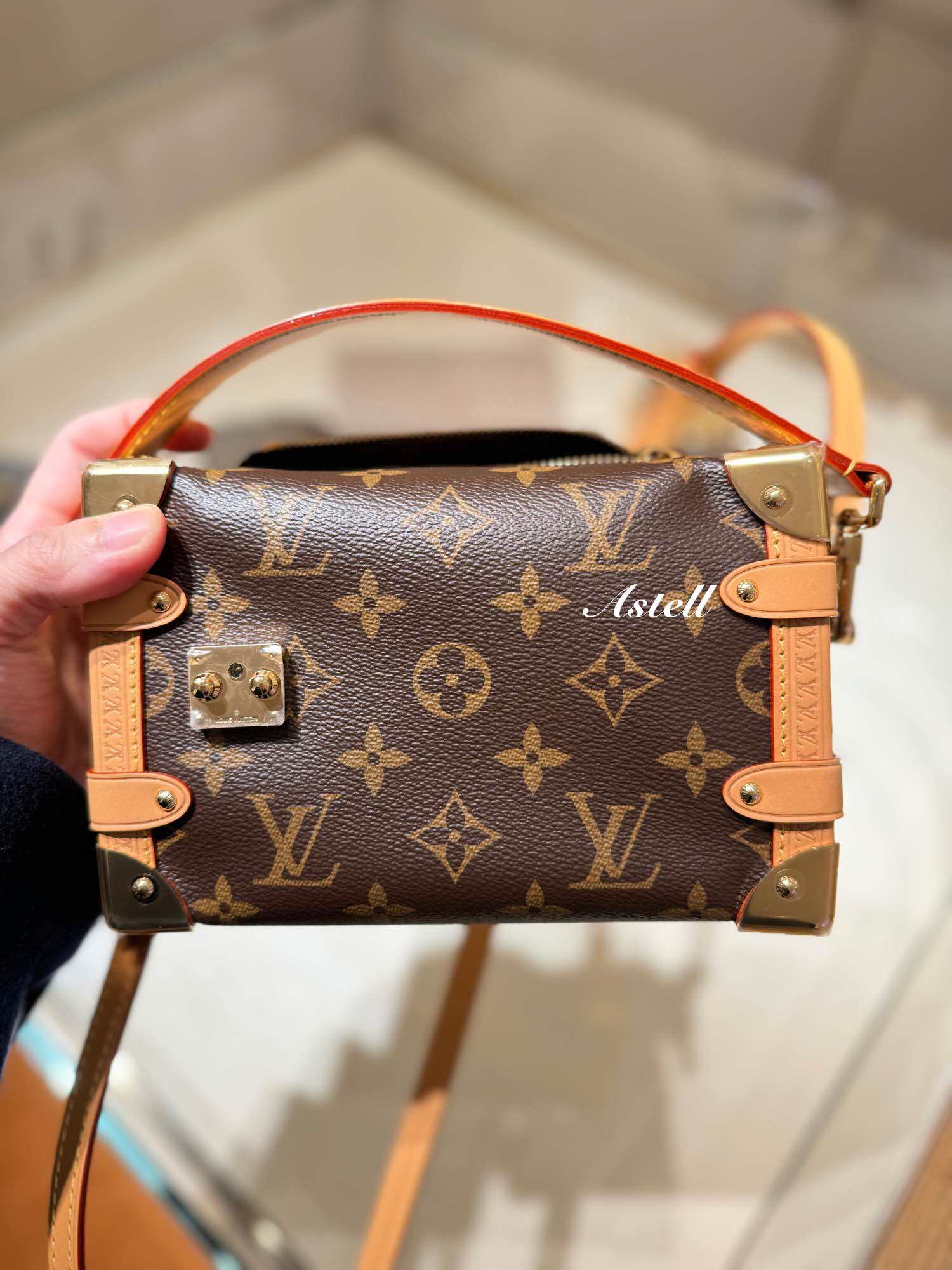 [PRE-ORDER] LOUIS VUITTON SIDE TRUNK PM